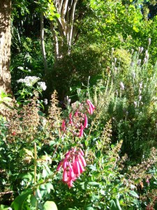 Stop to smell the flowers