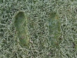 Footprints in frost 