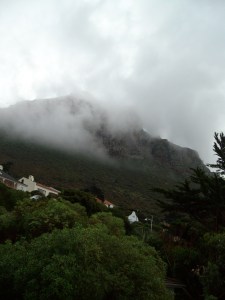 VIVITAR DIGITAL CAMERA